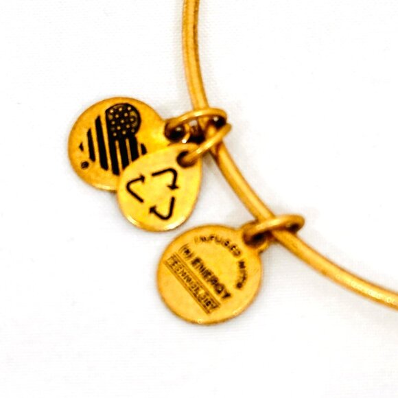 Alex And Ani New York Skyline II Bracelet - NWT - Picture 3 of 7